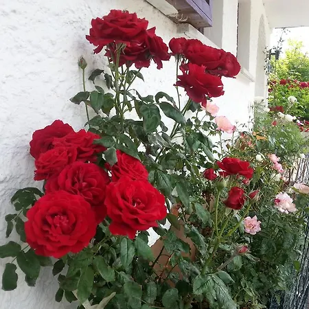 Gästehaus Bischof *