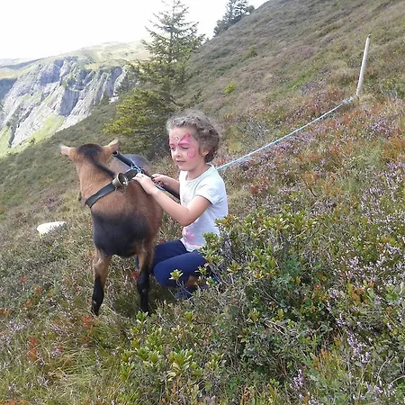 Gästehaus Bischof *