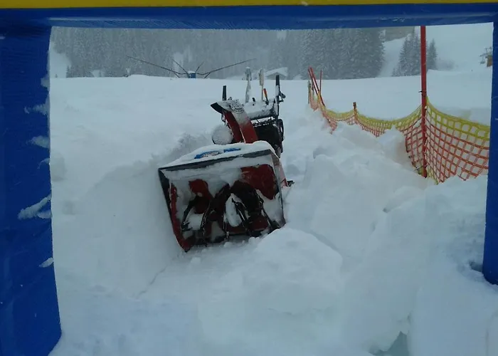 Apartment Gästehaus Bischof *