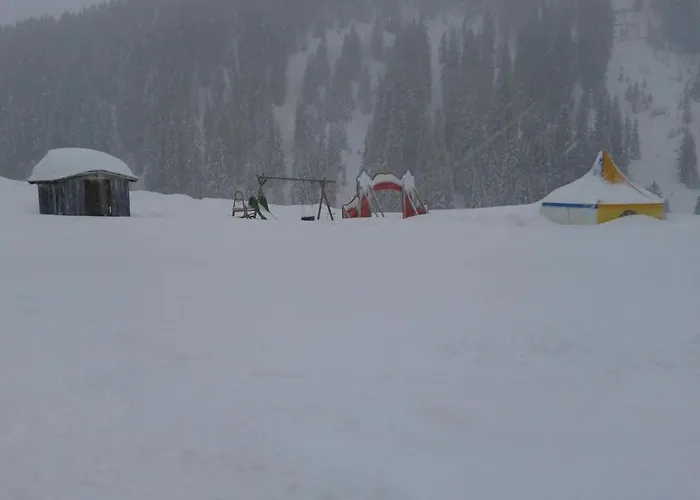 Gästehaus Bischof Apartment *