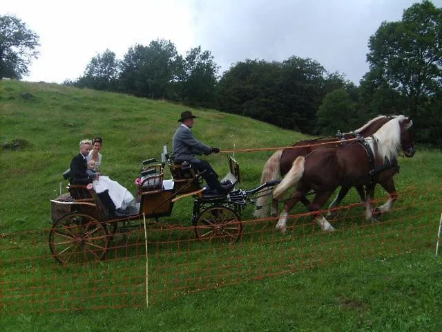 Gästehaus Bischof Apartment *