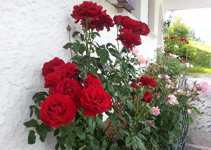 Gästehaus Bischof *