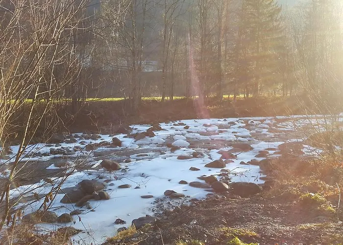 Apartment Gästehaus Bischof *